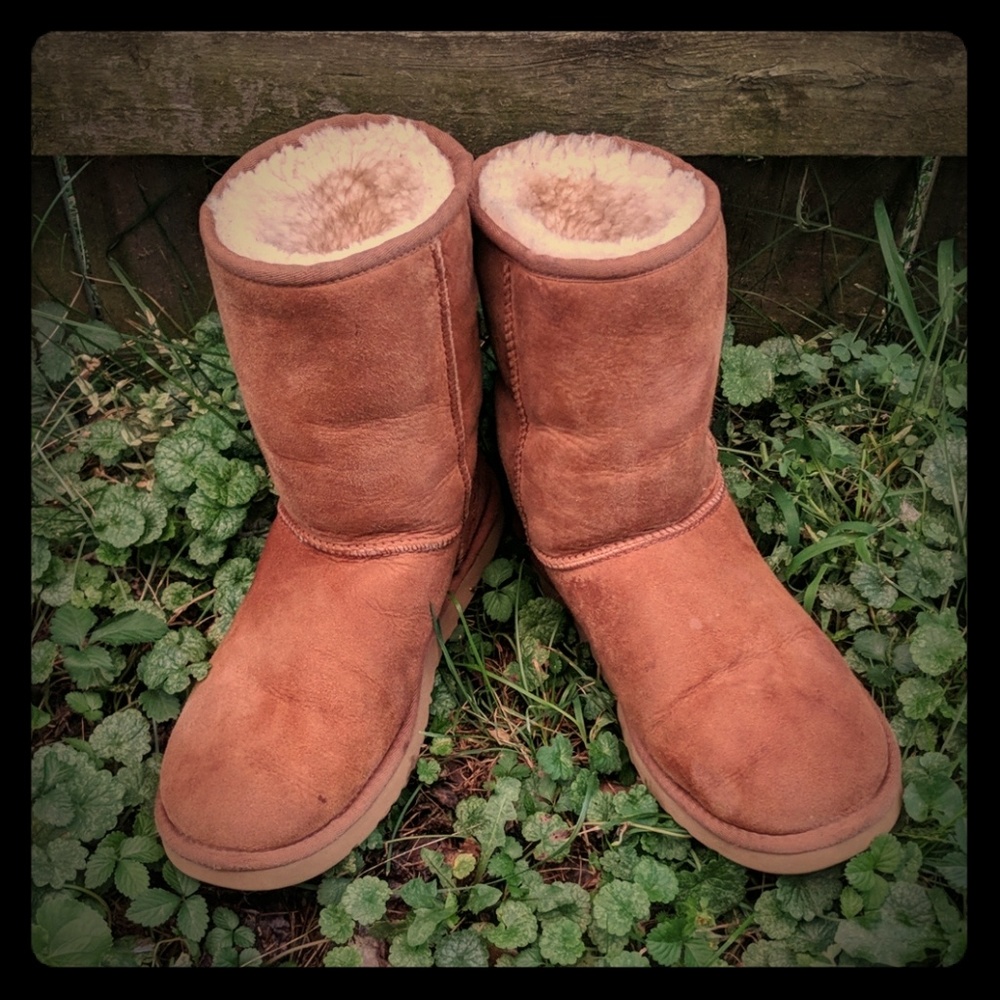 Ugg boots